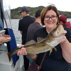 Meet your Posher, Marlene